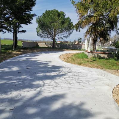 Chemin d'accés béton 3